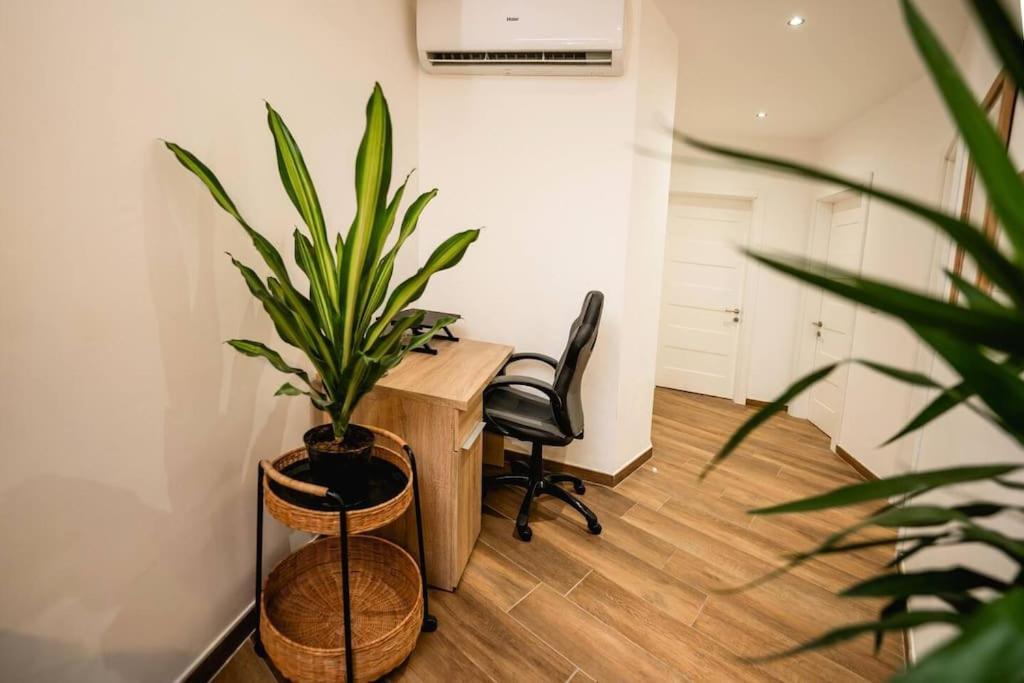 Luxurious & Stylish Penthouse With Private Pool Lejlighed Msida Eksteriør billede